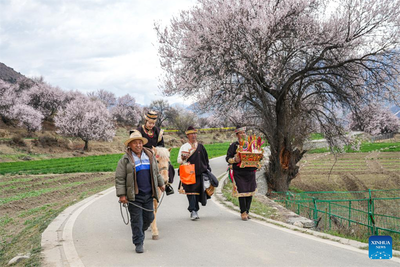 Η ανοιξι?τικη ανθοφορ?α ενισχ?ει τον τουρισμ? τη? π?λη? Νινγκτσ? στην Αυτ?νομη Περιοχ? Σιζ?νγκ τη? Κ?να?