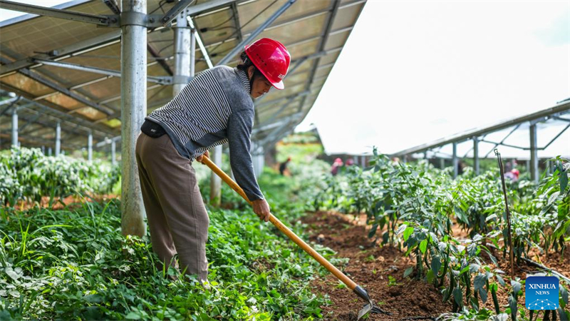 Η επαρχ?α Γκουε?τζ?ου προσπαθε? να μετατρ?ψει τα οικολογικ? πλεονεκτ?ματα σε αναπτυξιακ? πλεονεκτ?ματα