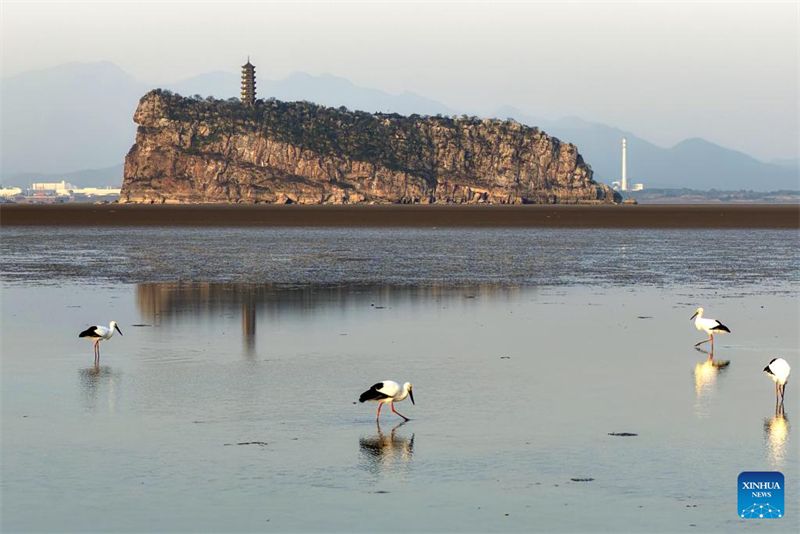 Μεταναστευτικ? πουλι? παρατηρ?θηκαν στη Λ?μνη Πογι?νγκ