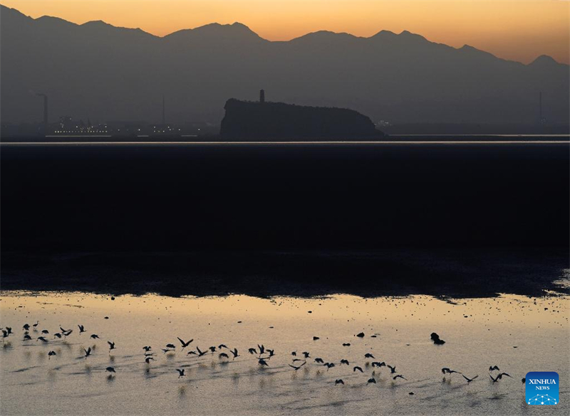 Μεταναστευτικ? πουλι? παρατηρ?θηκαν στη Λ?μνη Πογι?νγκ
